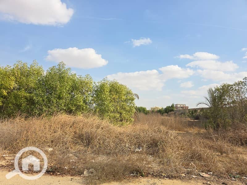 6 WhatsApp Image 2025-12-30 at 13.25. 14 (2). jpeg