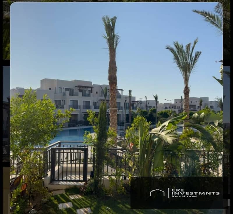 4 530640486_2313527739064781_1140209901649431079_n. jpg