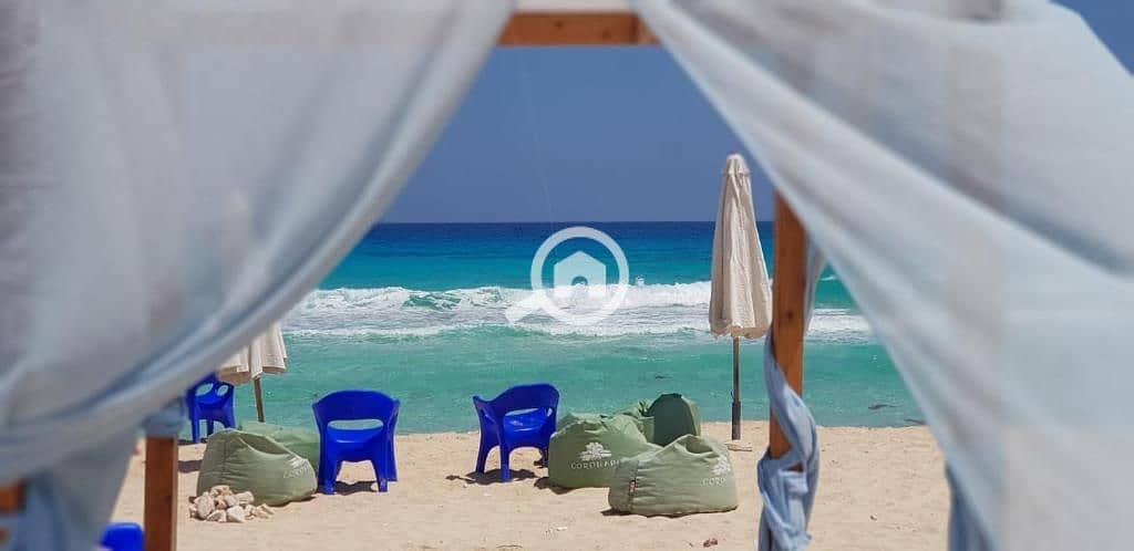 475714570. jpg 475714570. jpg