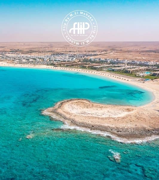 12 New-Project-18. jpg