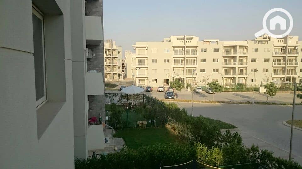 9 DSC_0026_resized_20170424_012950063. JPG