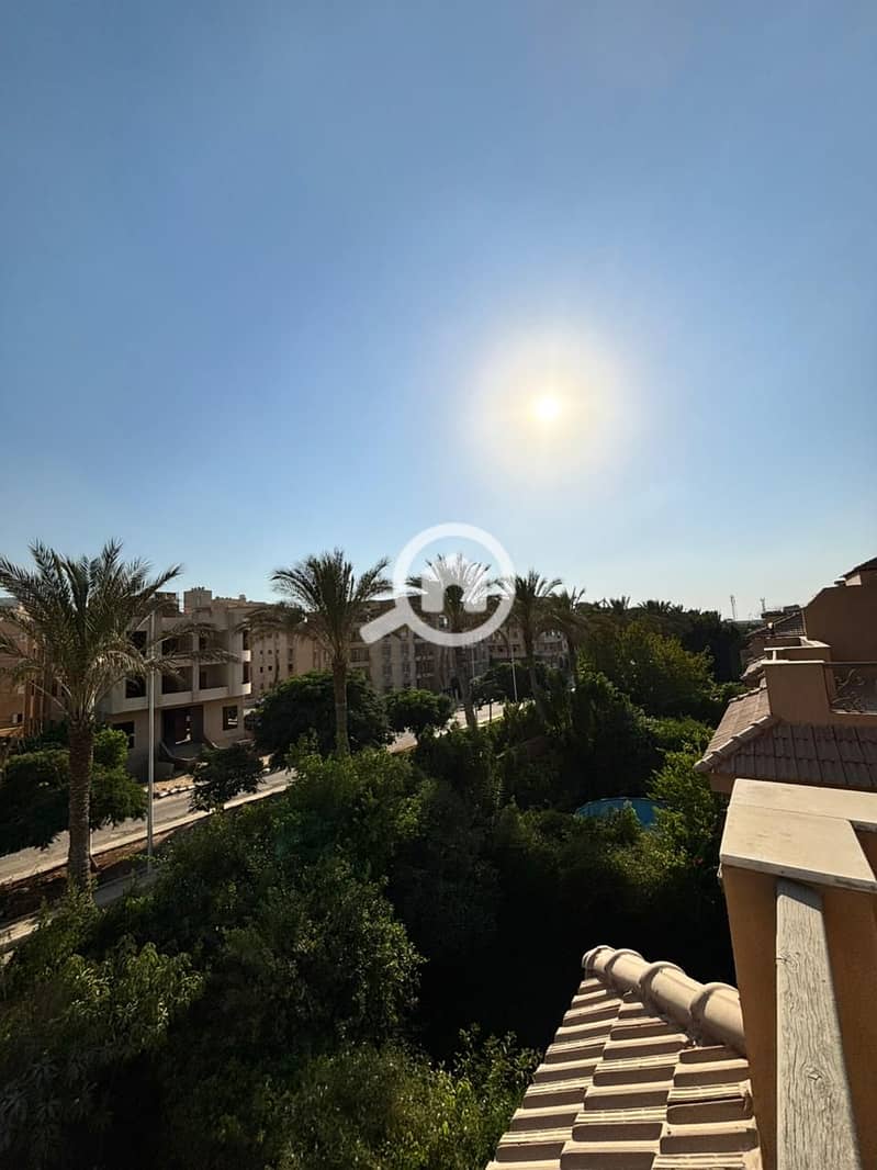 5 7664bdef-c47b-4b0e-80c5-7a4539d817ae. jpeg