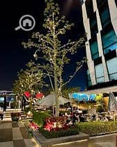 2 WhatsApp Image 2025-12-20 at 12.46. 41 PM (1). jpeg