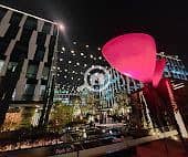 10 WhatsApp Image 2025-12-20 at 12.46. 43 PM (2). jpeg