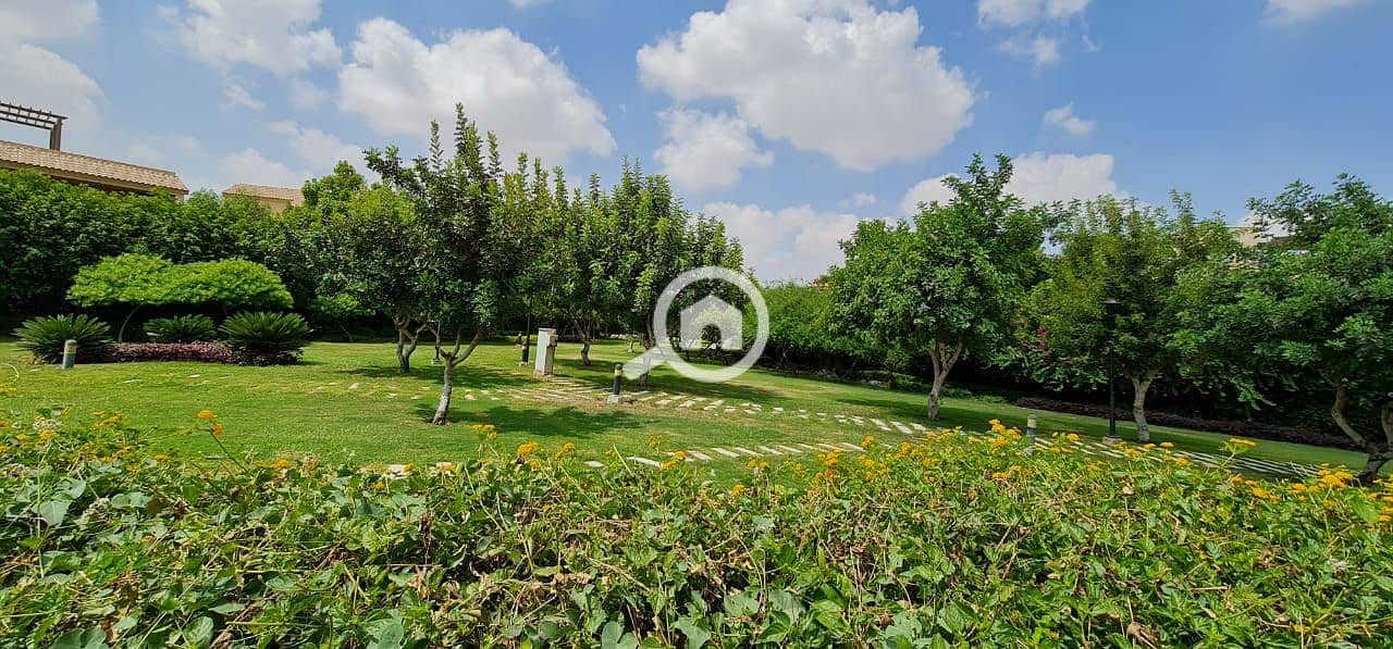 14 b31e2c5f-a93b-4cd0-a822-7fb28b5b0a62. jpg