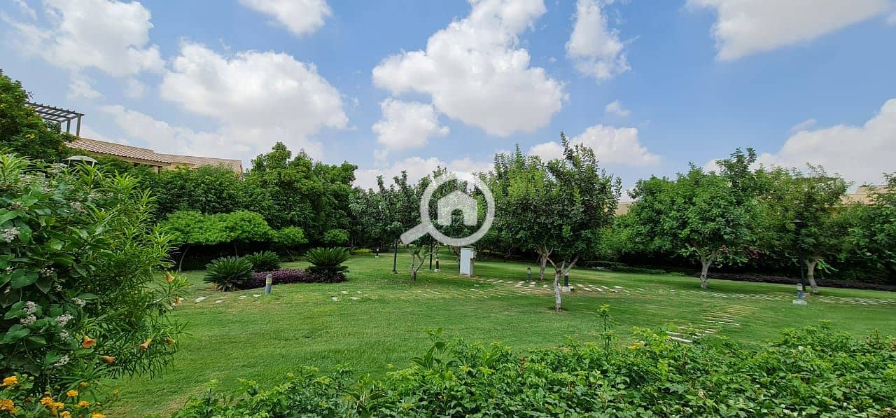 19 c8855455-7905-42ae-b69c-505570c420c4. jpg