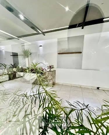 5 WhatsApp Image 2025-12-30 at 4.40. 35 PM (2). jpeg