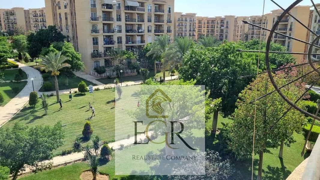 2 45e75274-7851-497c-a947-3f1e70d738c5. jpg