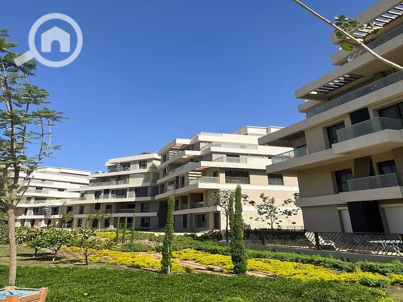 4 WhatsApp Image 2024-07-15 at 1.41. 41 PM. jpeg