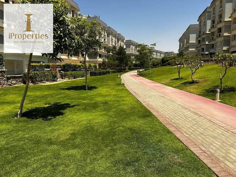 14 571226287_4183000912018985_2515676948217795137_n. jpg