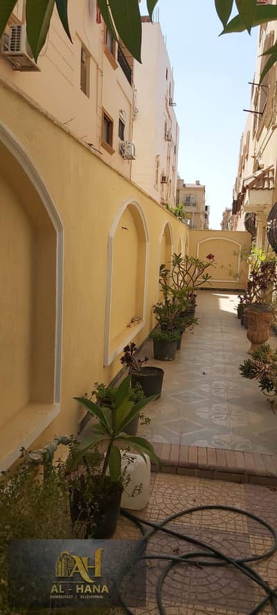 فیلا 11 غرف نوم للبيع في القاهرة الجديدة، القاهرة - WhatsApp Image 2025-12-30 at 5.42. 26 PM (2). jpeg