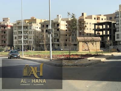 عقار سكني آخر 11 غرف نوم للايجار في القاهرة الجديدة، القاهرة - WhatsApp Image 2025-12-30 at 5.40. 19 PM. jpeg