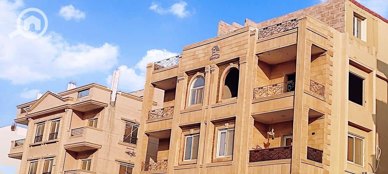 31 65e68a97-a4ec-4ab4-ab70-146fc8b76518. jpg