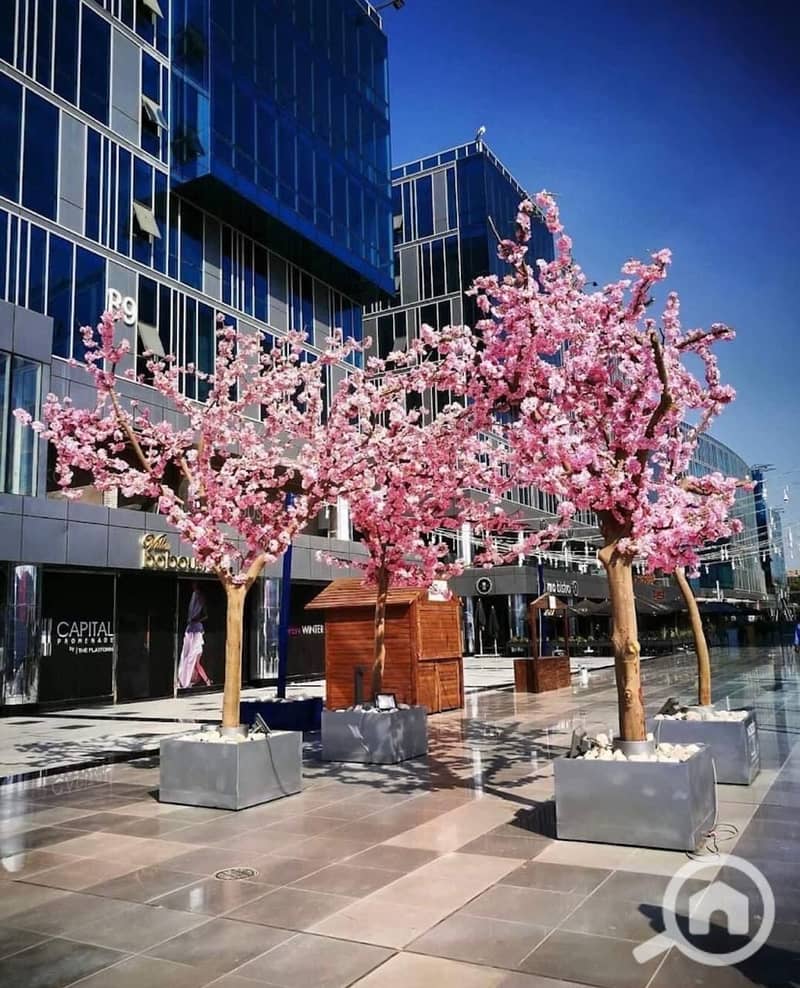 14 WhatsApp Image 2023-02-03 at 9.14. 47 PM. jpeg