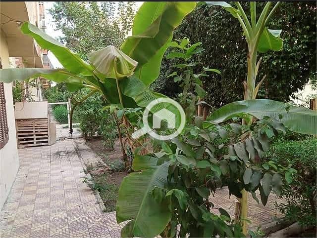 4 WhatsApp Image 2025-12-26 at 6.11. 11 PM (9). jpeg