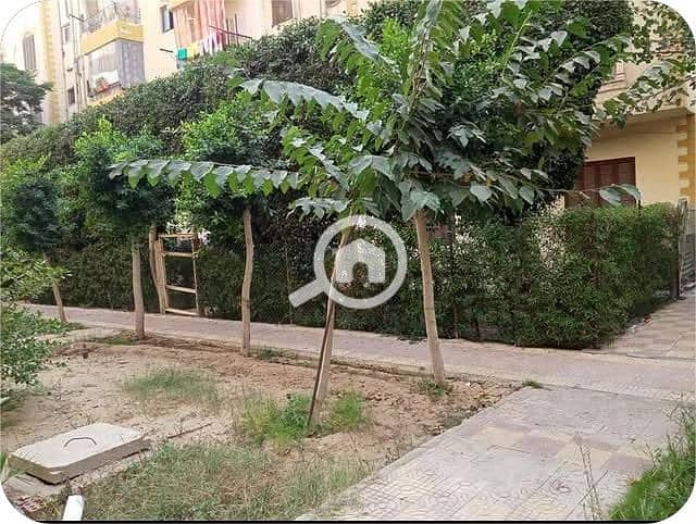 9 WhatsApp Image 2025-12-26 at 6.11. 11 PM (6). jpeg