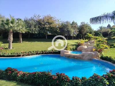 5 Bedroom Villa for Sale in New Cairo, Cairo - WhatsApp Image 2025-12-24 at 4.51. 28 PM (1). jpeg