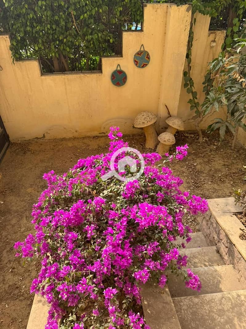 5 WhatsApp Image 2025-12-30 at 4.39. 00 PM (3). jpeg