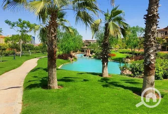 10 7946425-f2233o. jpg