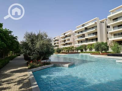 فلیٹ 2 غرفة نوم للايجار في القاهرة الجديدة، القاهرة - 264445604_1349537975496562_6748255534838355015_n. jpg