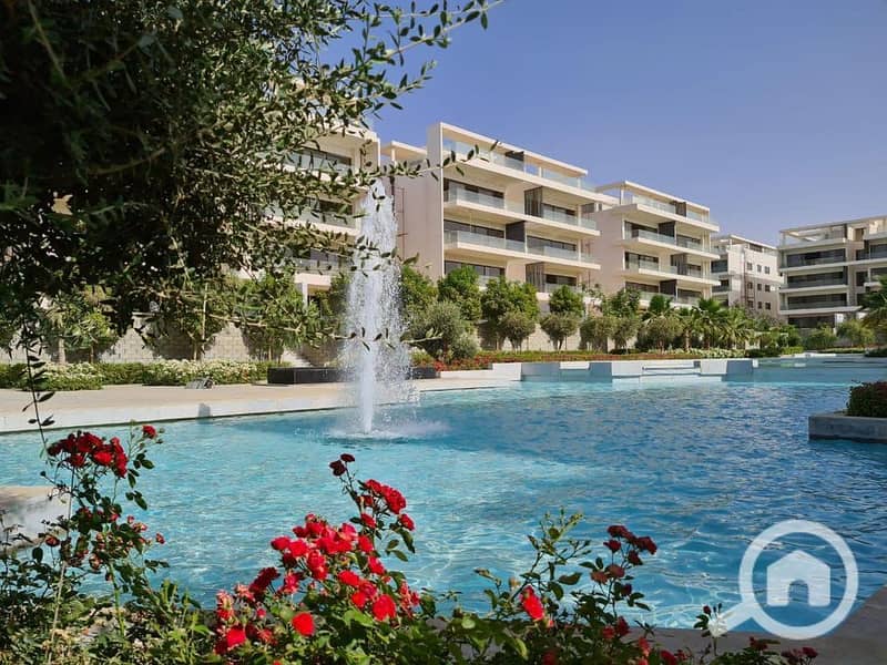 3 264029773_1349537965496563_7578451859787667478_n. jpg