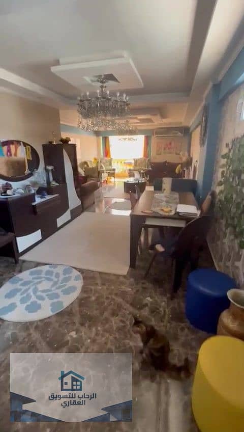 124 WhatsApp Video 2025-12-30 at 9.03. 59 AM_000158. jpg