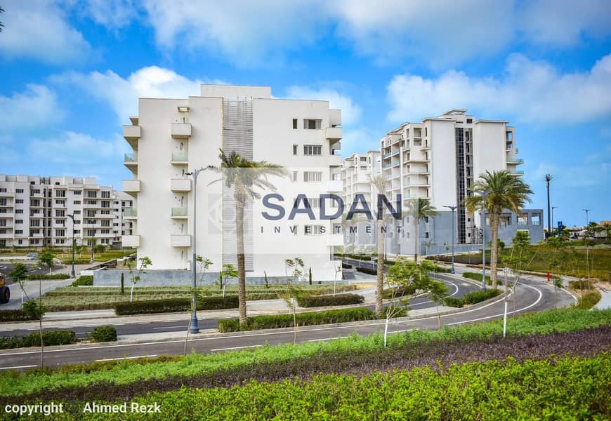 7 598850652_3918488374953724_2088957585091424650_n. jpg