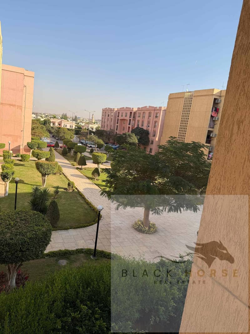 23 c218a63c-75ff-4026-ae3c-6d7822bd42c5. jpg