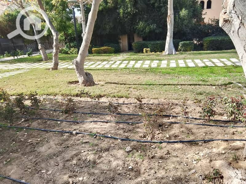 11 a789d576-8601-48ae-9cd4-5cd7fb09ca23. jpeg