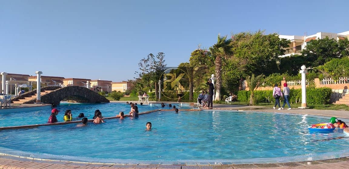 2 WhatsApp Image 2025-12-31 at 1.18. 07 AM. jpeg