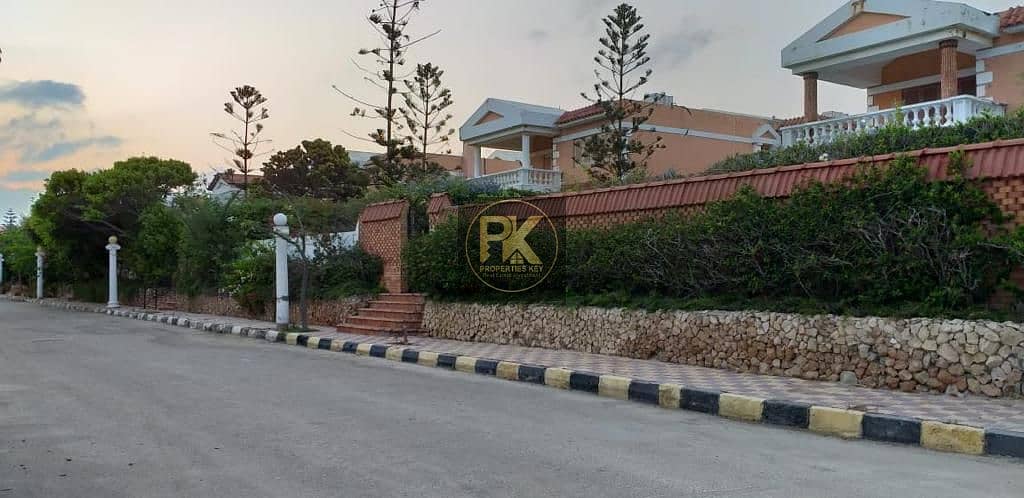 13 WhatsApp Image 2025-12-31 at 1.18. 02 AM (1). jpeg