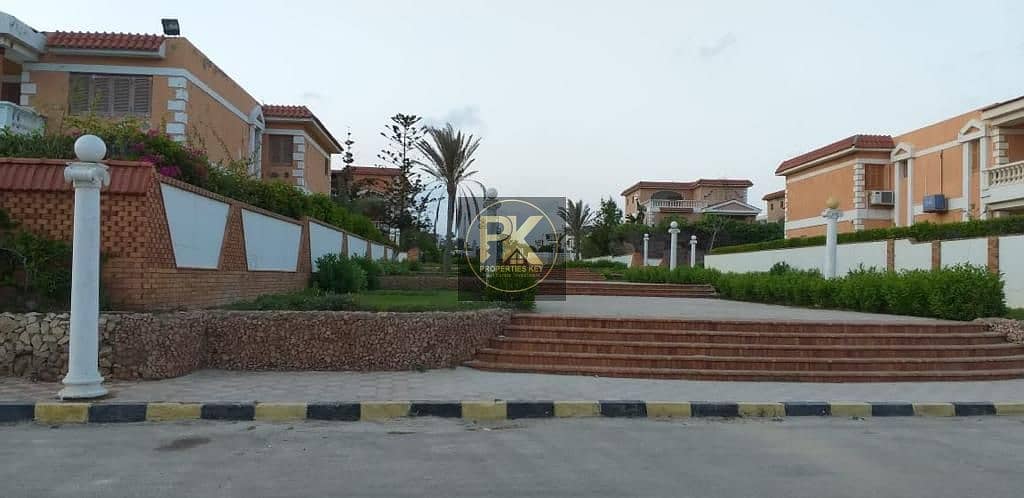 14 WhatsApp Image 2025-12-31 at 1.18. 02 AM. jpeg