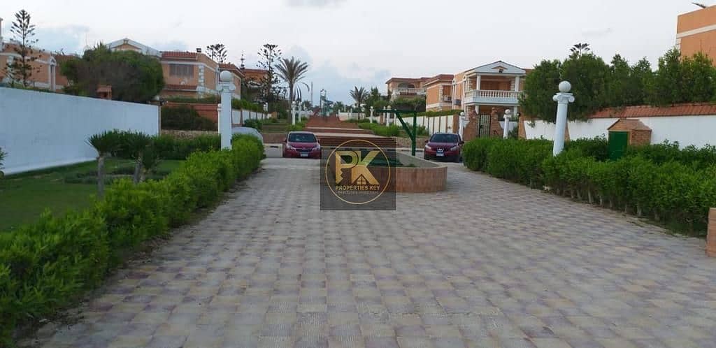 15 WhatsApp Image 2025-12-31 at 1.18. 01 AM (2). jpeg