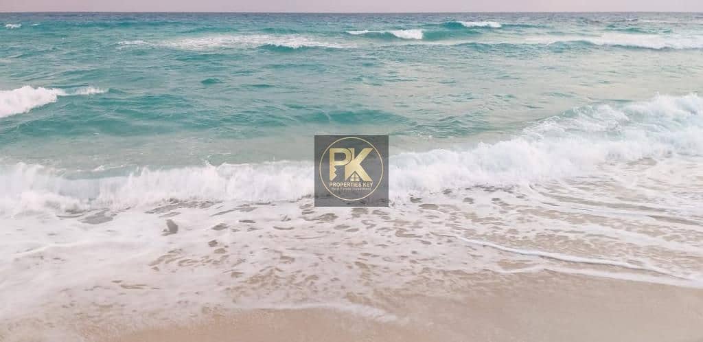 17 WhatsApp Image 2025-12-31 at 1.18. 01 AM. jpeg