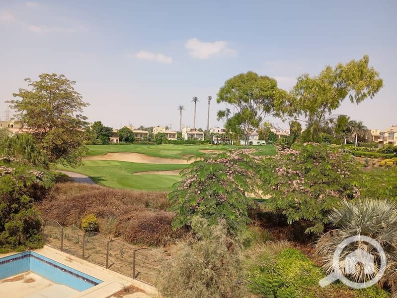 7 5e401afe-b9df-43d3-b559-35d1514ff9dc. jpeg