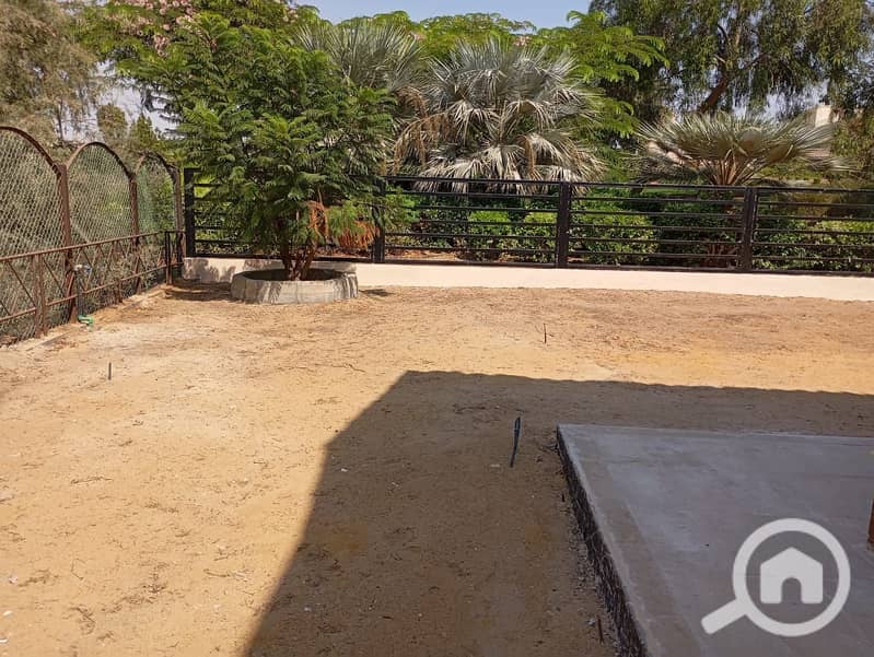 12 e82baa85-db2f-4316-9711-90ad2697dbff. jpeg