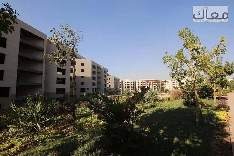 8 a166f1ae-974e-456b-bfc2-aa473e017951. jpeg