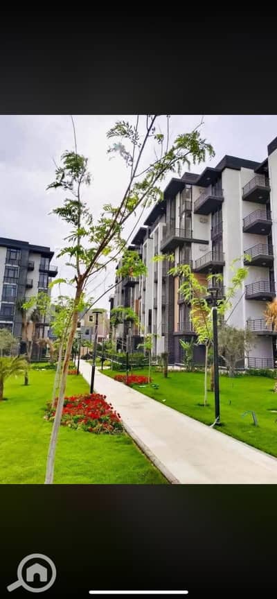 2 Bedroom Flat for Rent in Madinaty, Cairo - IMG_9163. png