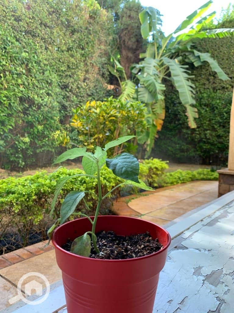 2 0ab0ab74-9ded-42dc-937e-f0d53f3634f6. jpg