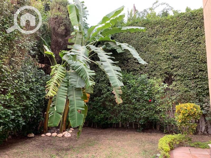 4 4e780d65-1c47-4532-91d3-b2176cdd14d1. jpg