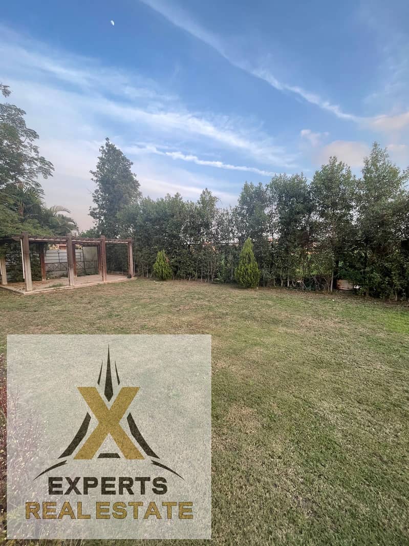 6 56e5f2d4-8408-464f-b936-42bc3b8c6497. jpg