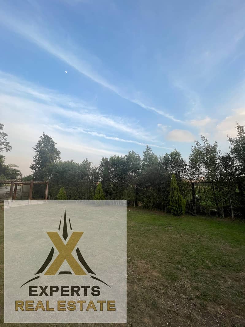 9 b7291e04-9137-4f2f-8293-24f6725e7fec. jpg