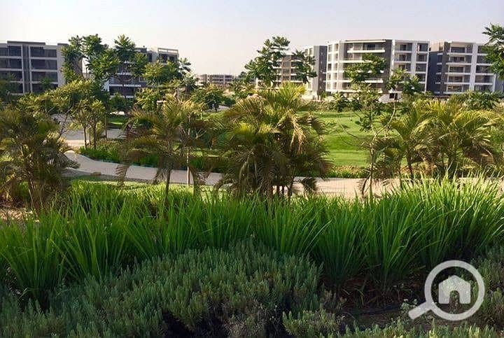 5 WhatsApp Image 2025-12-31 at 12.11. 57 PM (3). jpeg