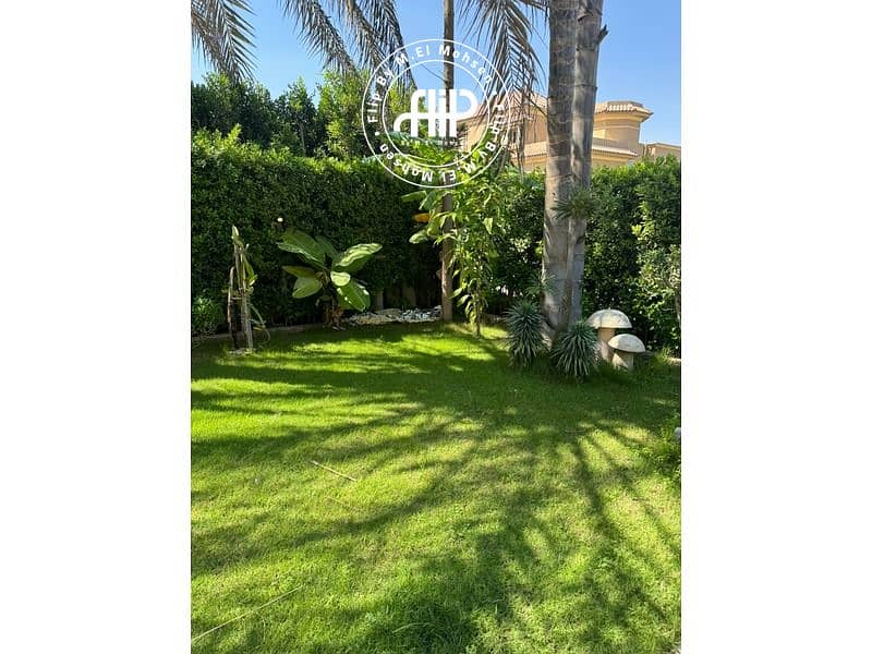 2 IMG-20241007-WA0079. jpg