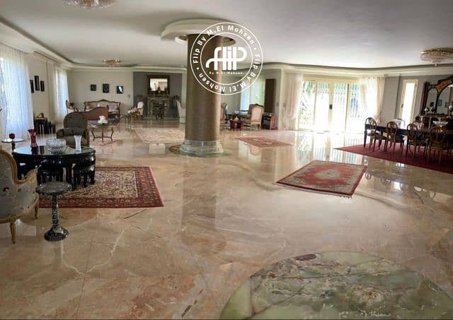 17 IMG-20251112-WA0041. png