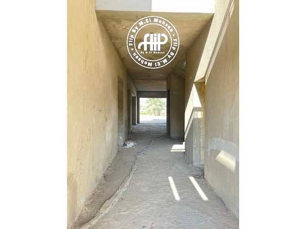 3 2ro1b5BVppwgOjbqT6Ifez5AFg5tYlSxp4xhHR7a. jpeg