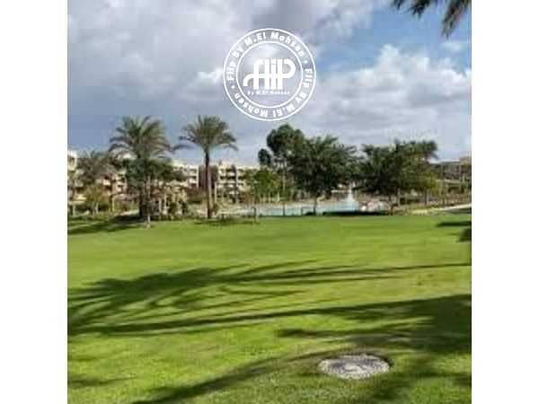 6 BzIPK8JScK5jYiWJW2BedPZi8Bf4Du76w3p5vfUe. jpeg