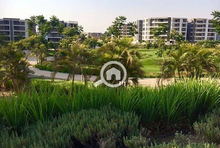 5 WhatsApp Image 2025-12-31 at 12.11. 57 PM (3). jpeg