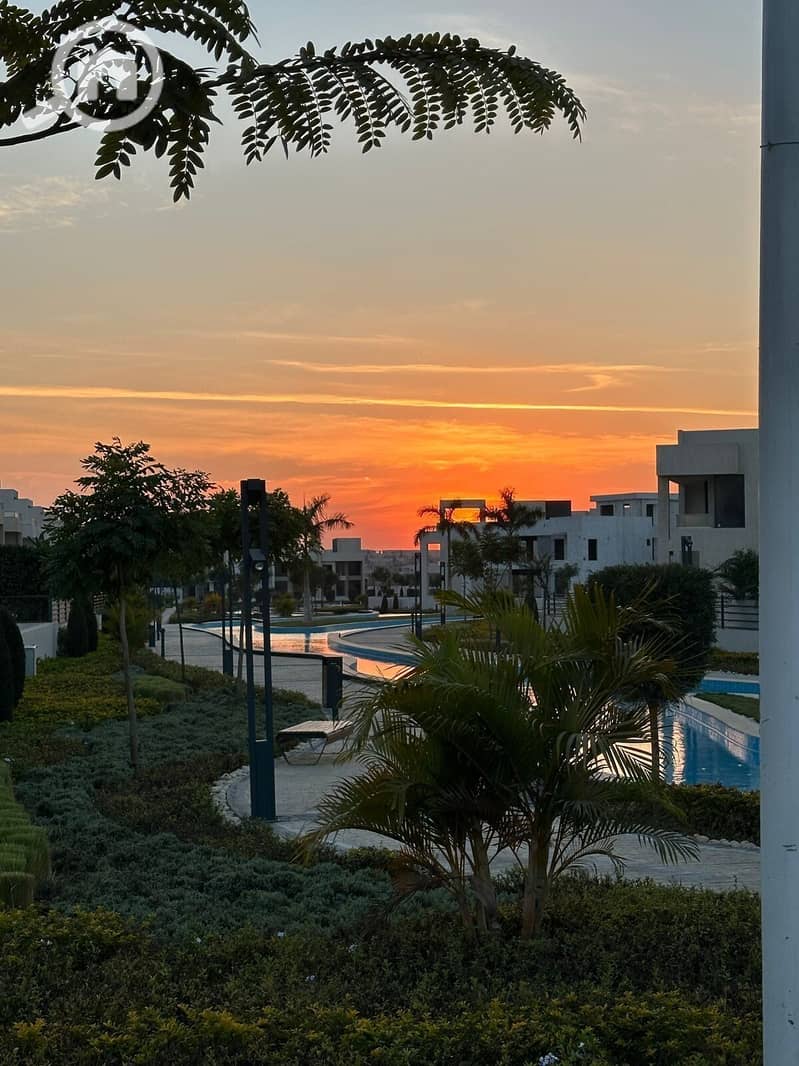 5 972cb049-0951-4268-a8b1-06f7418fd655. jpg