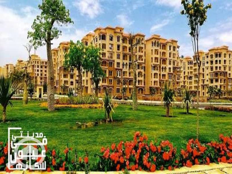 10 17628350021648661259. jpg